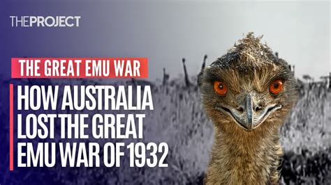 Learn about the Emu War, a military operation in 1932 to cull emus that damaged crops in Western Australia. Find out how the emus outsmarted the soldiers and became the "victors" of the war.